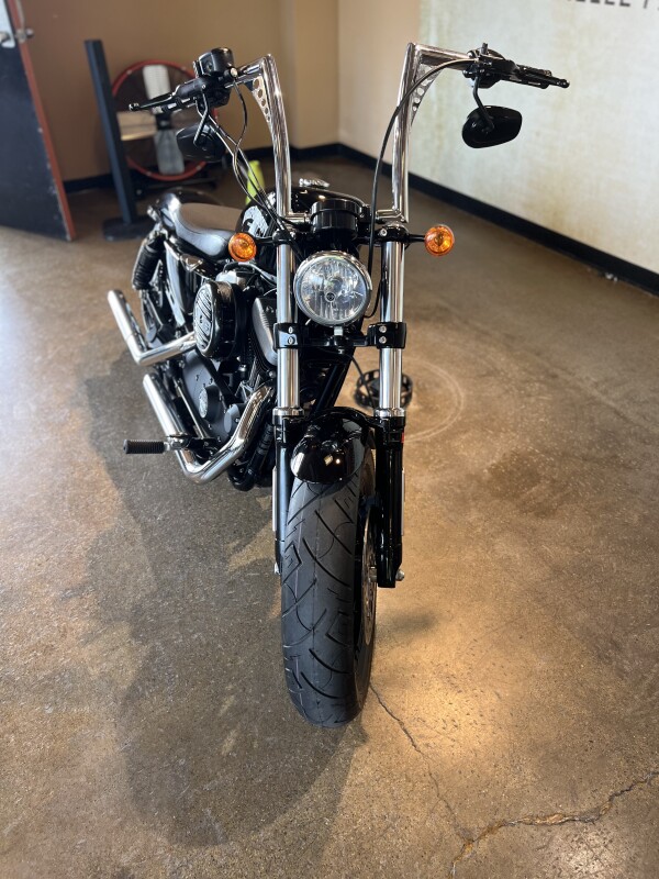 2016 Harley Davidson Forty-Eight XL1200X - Photo 2