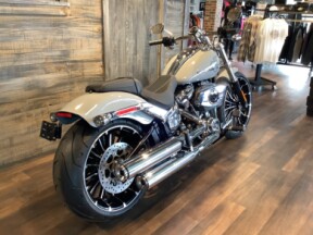 Harley-Davidson<sup>®</sup> Breakout<sup>®</sup> 2025 FXBR S9-25 Billiard Gray thumb 1