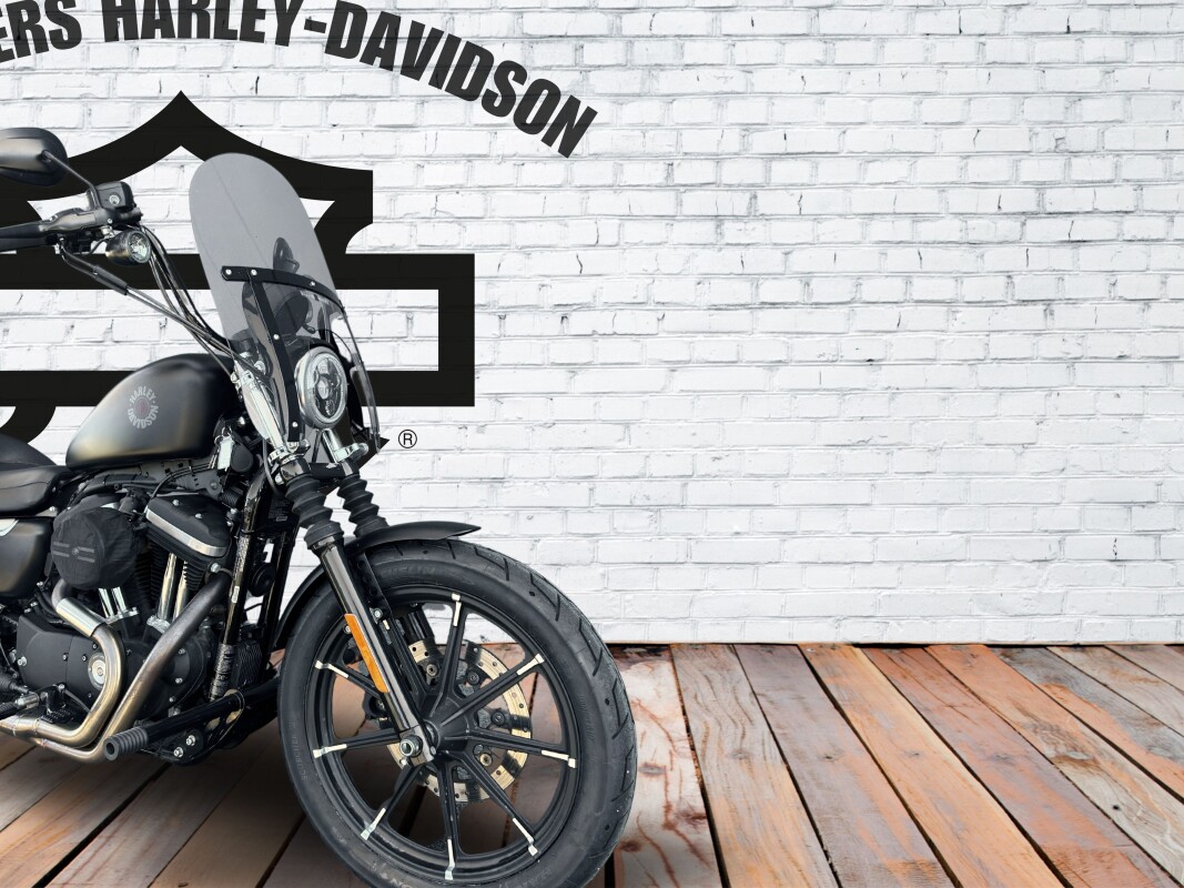 2021 Harley-Davidson Iron 883 Denim Black - Photo 3