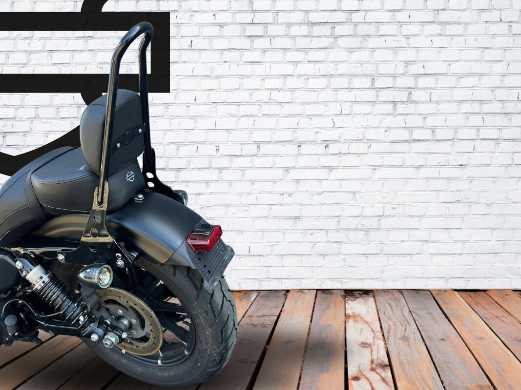 2021 Harley-Davidson Iron 883 Denim Black - Photo 8