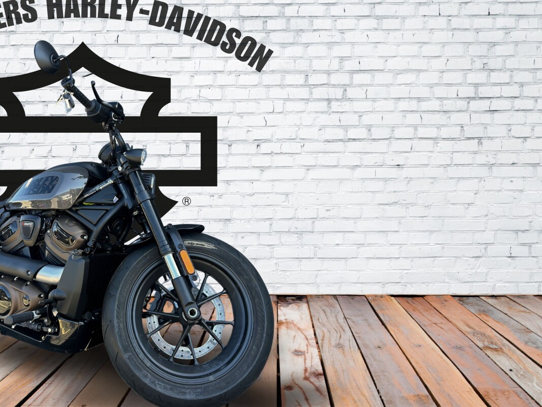 2023 Harley-Davidson Sportster S Gray Haze - Photo 3