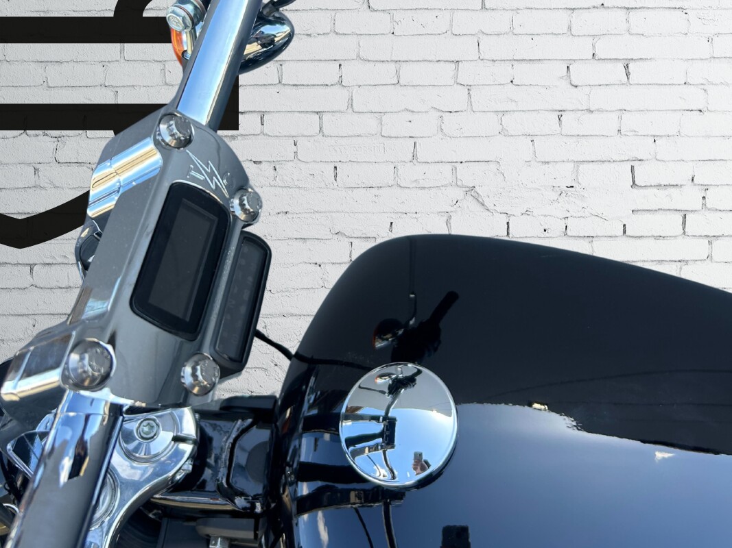 2024 Harley-Davidson Softail Standard Vivid Black w/Cast Wheels - Photo 9