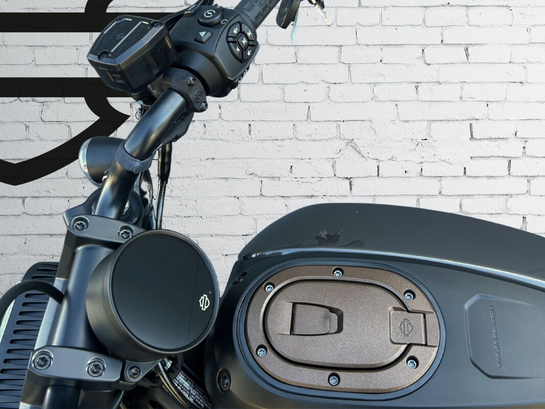 2023 Harley-Davidson Sportster S Gray Haze - Photo 9