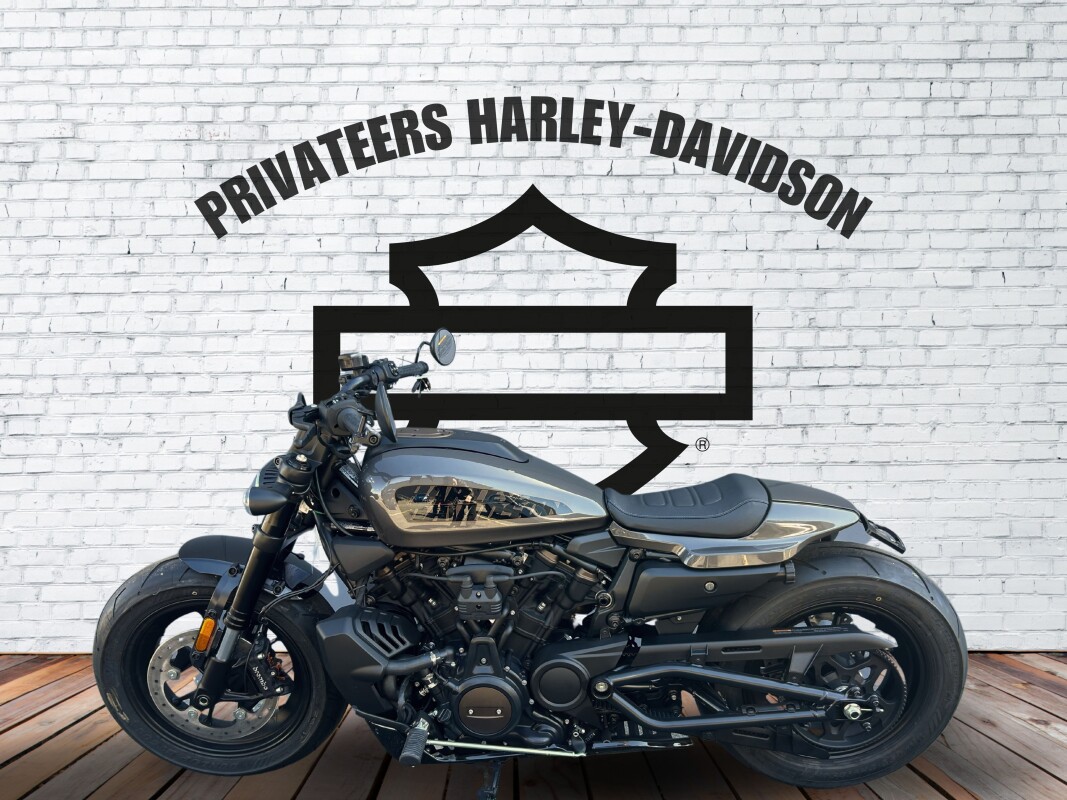 2023 Harley-Davidson Sportster S Gray Haze - Photo 2