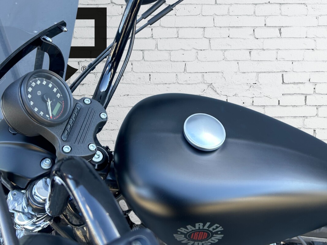 2021 Harley-Davidson Iron 883 Denim Black - Photo 9