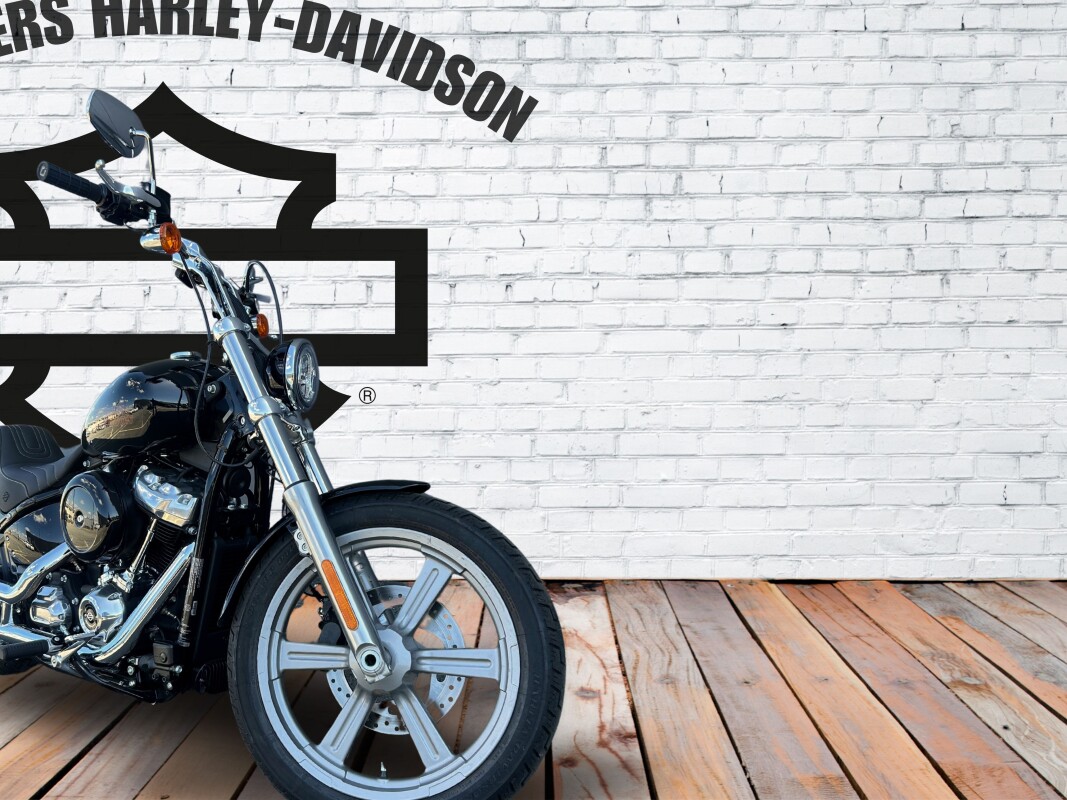 2024 Harley-Davidson Softail Standard Vivid Black w/Cast Wheels - Photo 3