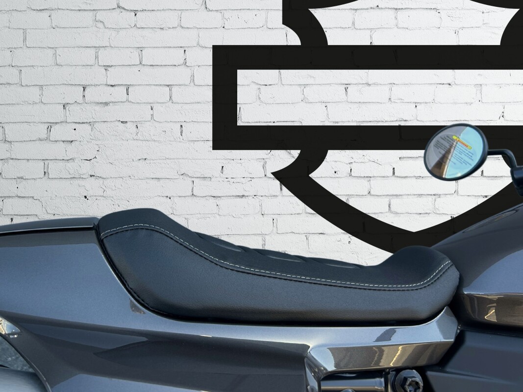 2023 Harley-Davidson Sportster S Gray Haze - Photo 6