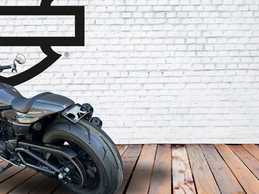 2023 Harley-Davidson Sportster S Gray Haze - Photo 8