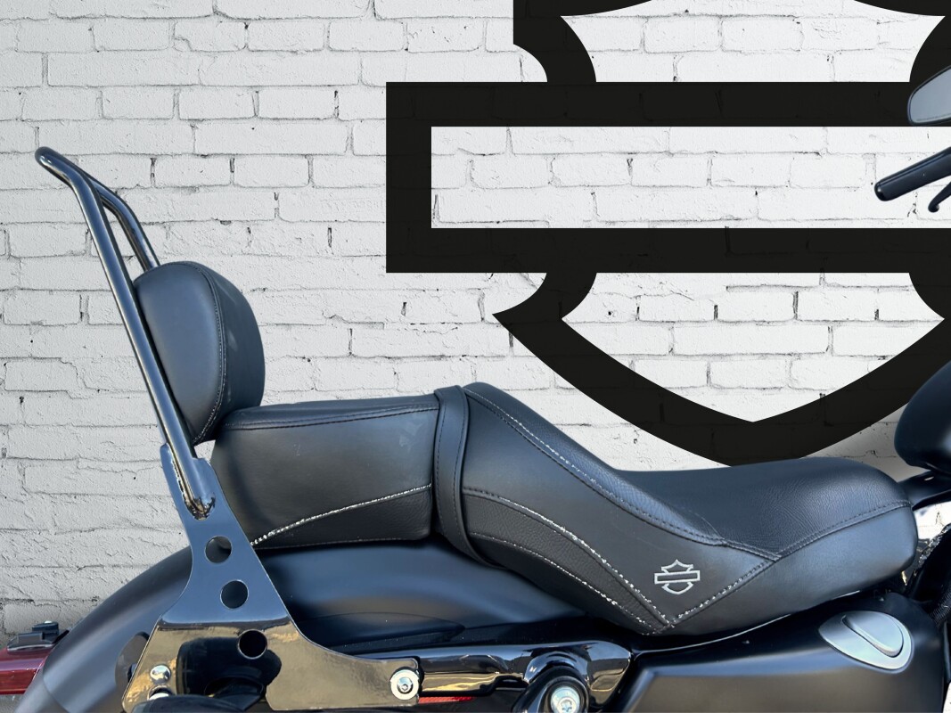 2021 Harley-Davidson Iron 883 Denim Black - Photo 6
