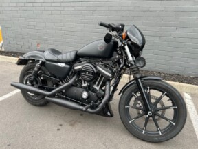 2019 XL883N Iron 883ccin thumb 2