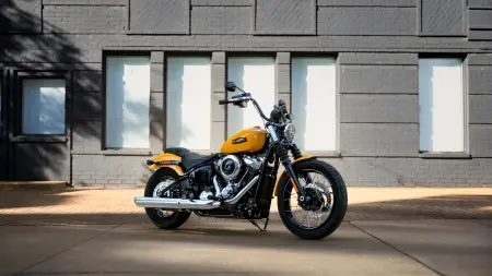 2025 Harley-Davidson® Street Bob® Near Pace, FL: FAQs for Cruiser Beginners