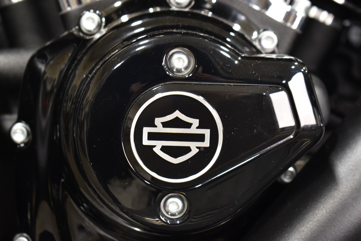 2025 Harley-Davidson Road Glide FLTRX - Photo 3