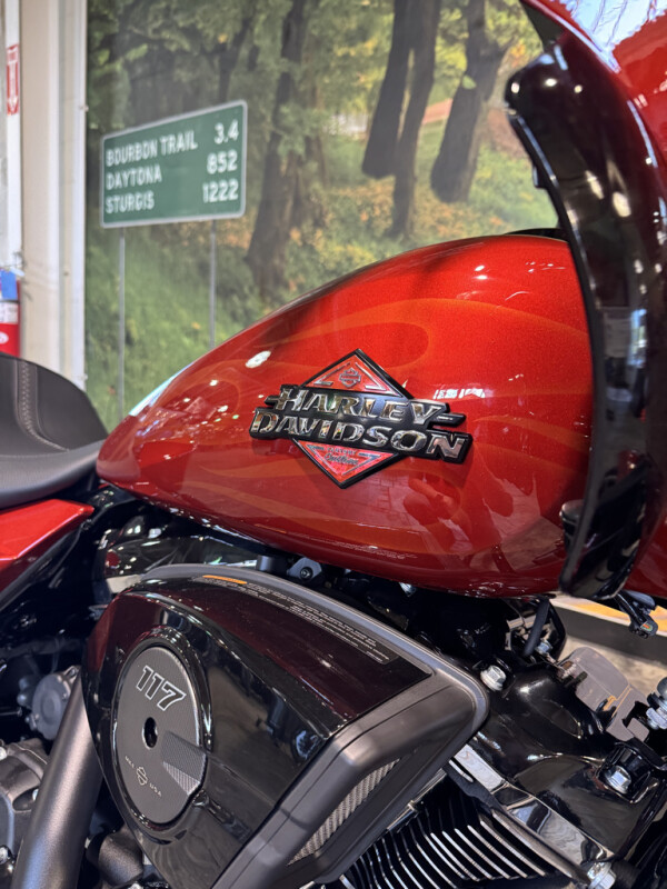 2025 Harley-Davidson Road Glide - Photo 2