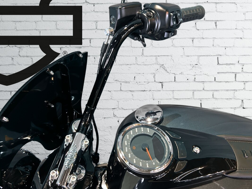 2025 Harley-Davidson Heritage Classic Iron Horse Metallic - Photo 9