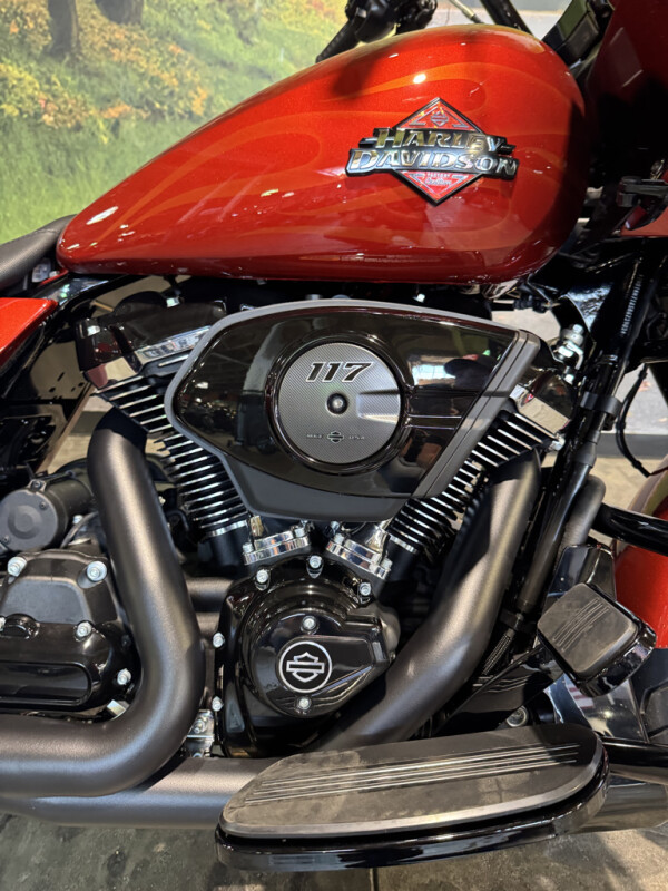 2025 Harley-Davidson Road Glide - Photo 3