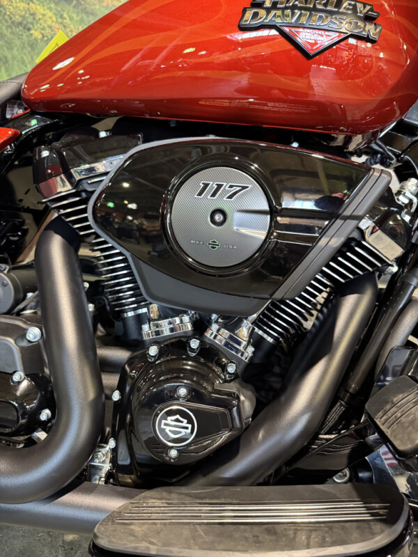 2025 Harley-Davidson Street Glide - Photo 3