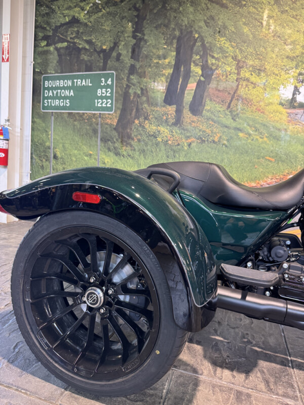 2024 Harley-Davidson Freewheeler - Photo 5