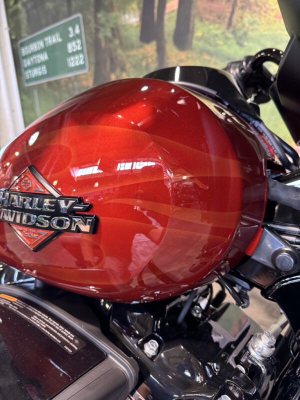 2025 Harley-Davidson Street Glide - Photo 6