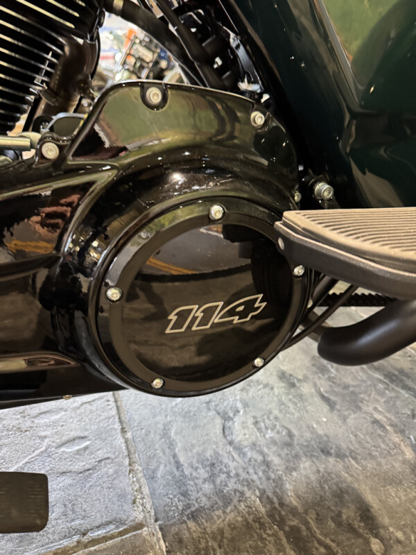 2024 Harley-Davidson Freewheeler - Photo 10