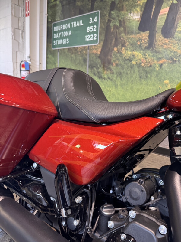 2025 Harley-Davidson Street Glide - Photo 4