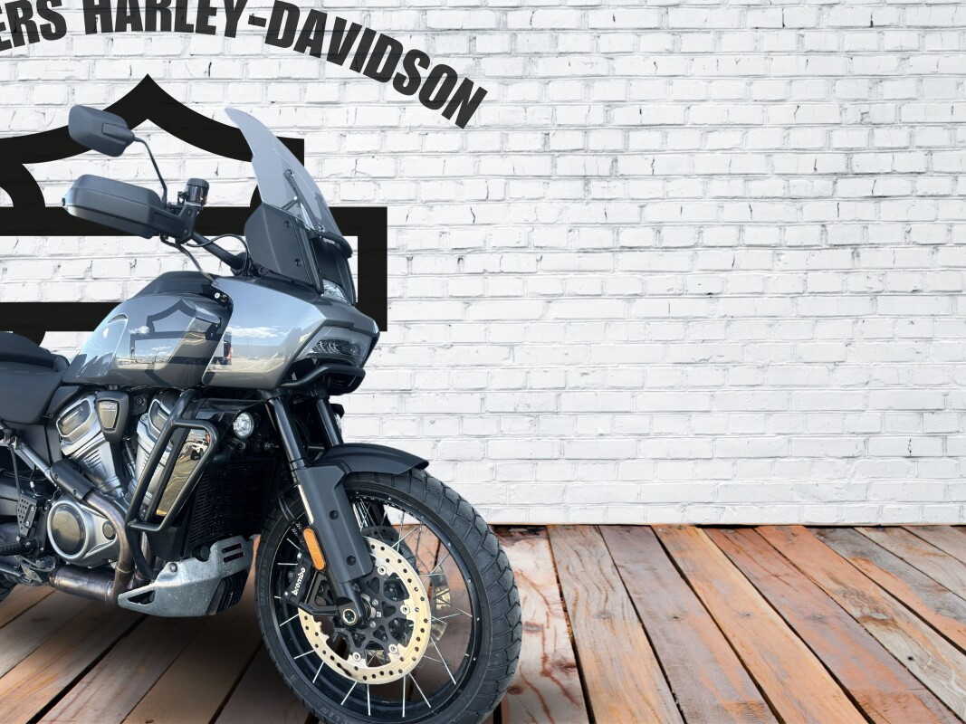 2021 Harley-Davidson Pan America 1250 Special Gauntlet Gray Metallic - Photo 3