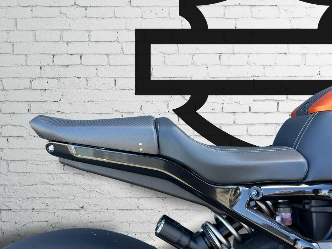 2020 Harley-Davidson LiveWire Orange Fuse - Photo 6
