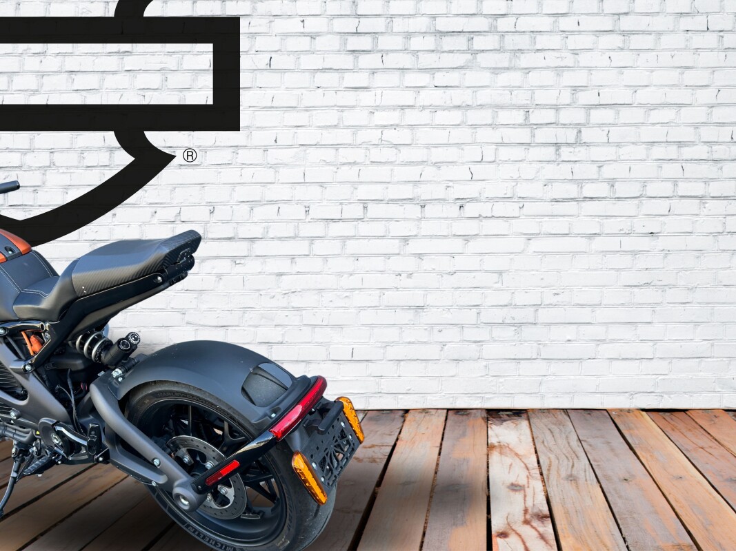 2020 Harley-Davidson LiveWire Orange Fuse - Photo 8