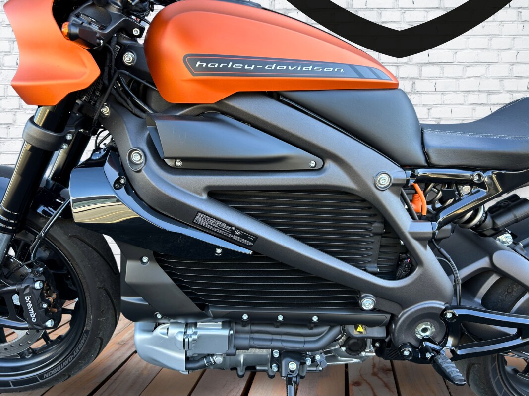 2020 Harley-Davidson LiveWire Orange Fuse - Photo 7