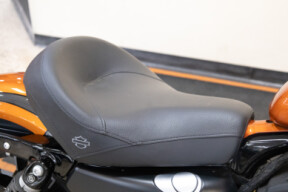 XL 883N 2021 Iron 883<sup>™</sup> thumb 2