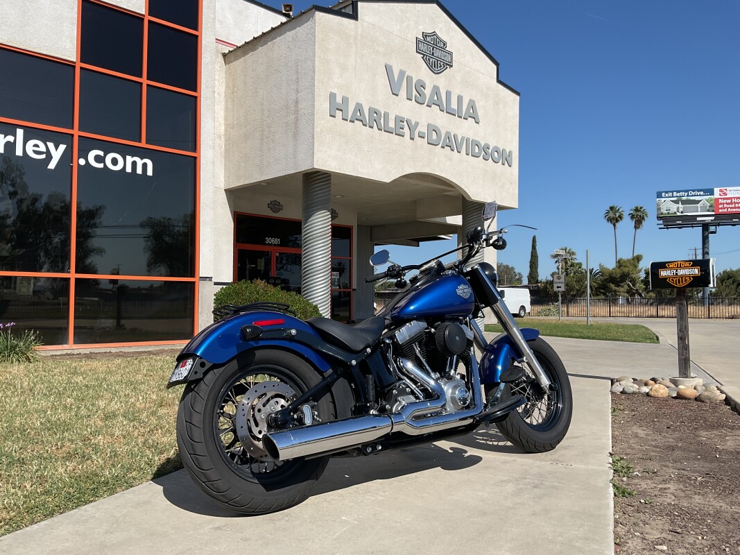 FLS 2015 Softail Slim - Photo 2