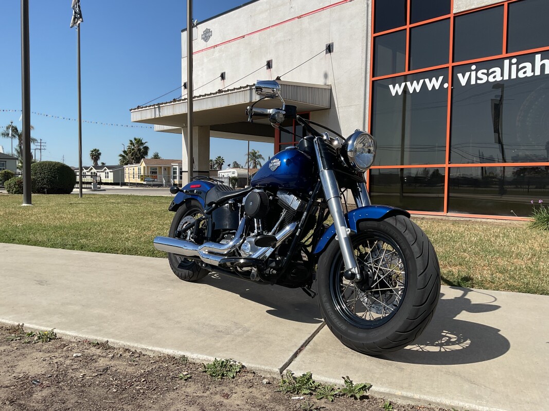 FLS 2015 Softail Slim - Photo 3