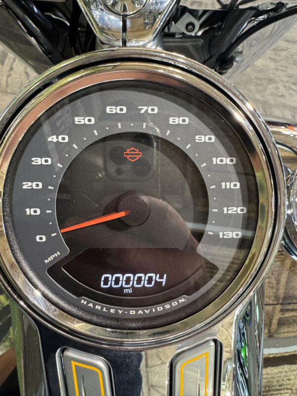 2025 Harley-Davidson Fat Boy Gray Ghost No Gimmicks, No Hidden Fees, photo 15
