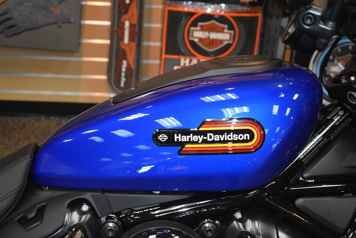 RH975S 2025 Nightster Special - Photo 6