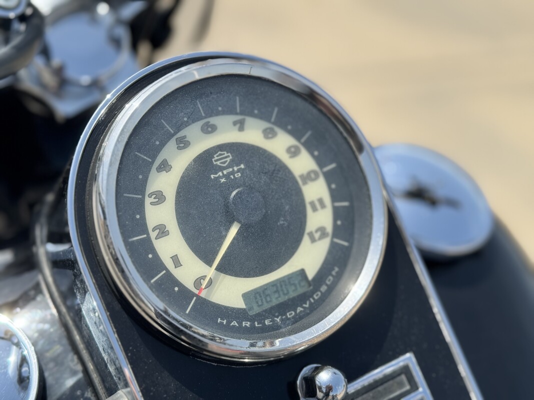 2009 Harley-Davidson Softail Deluxe FLSTN 029102 - Photo 7