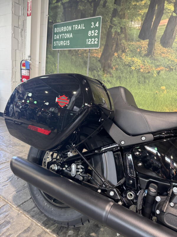 2025 Harley-Davidson Low Rider ST - Photo 6