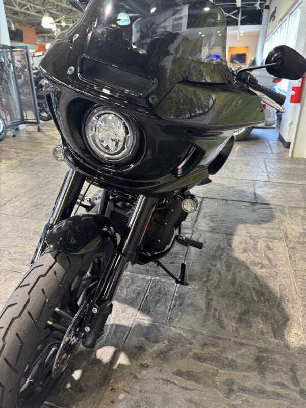 2025 Harley-Davidson Low Rider ST - Photo 10