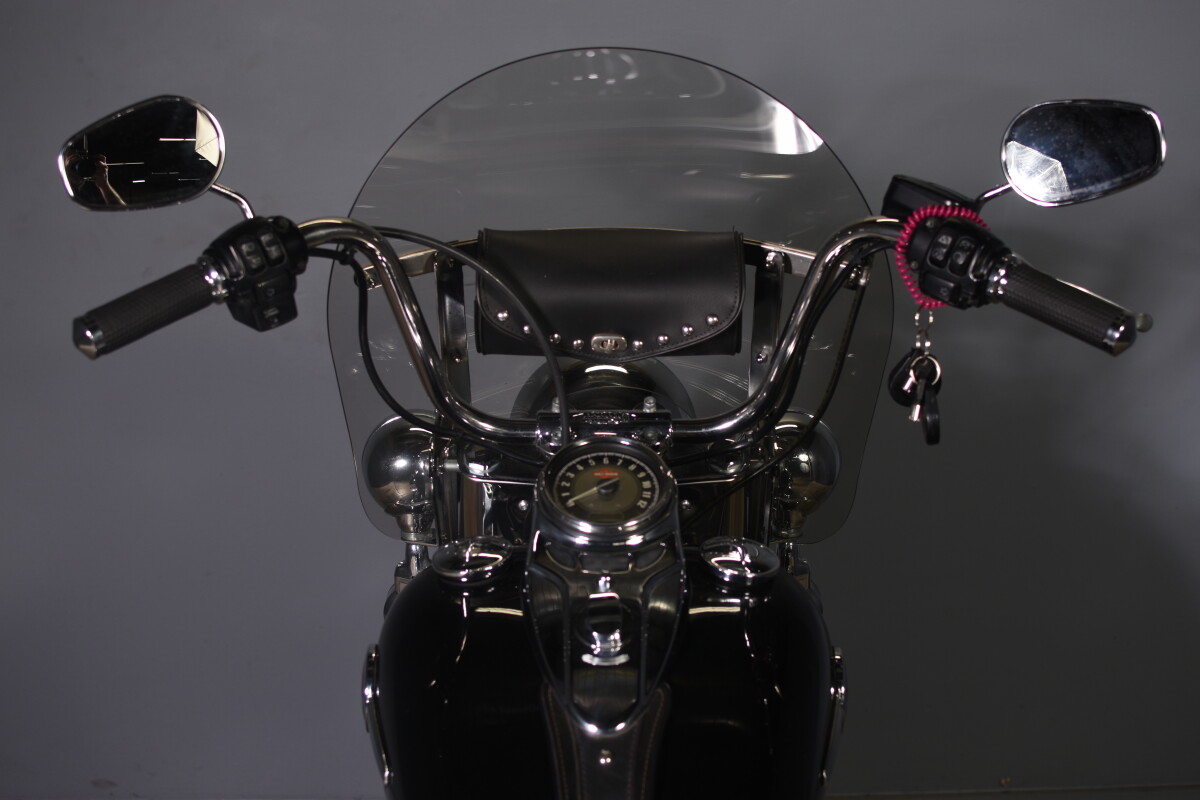 2016 Harley-Davidson Heritage Softail Classic FLSTC - Photo 9