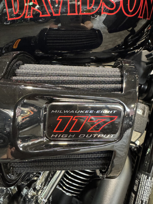 2025 Harley-Davidson Low Rider ST - Photo 4