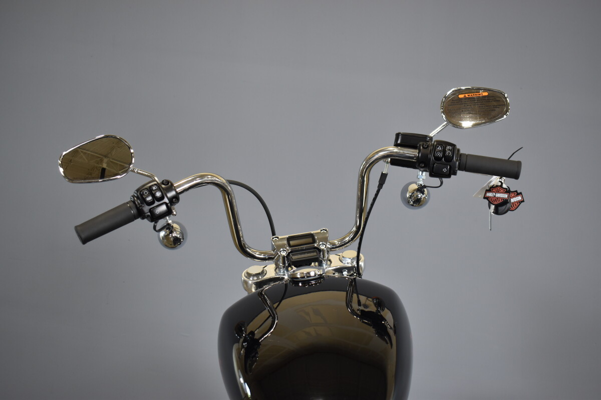 2024 Harley-Davidson Softail Standard FXST - Photo 8