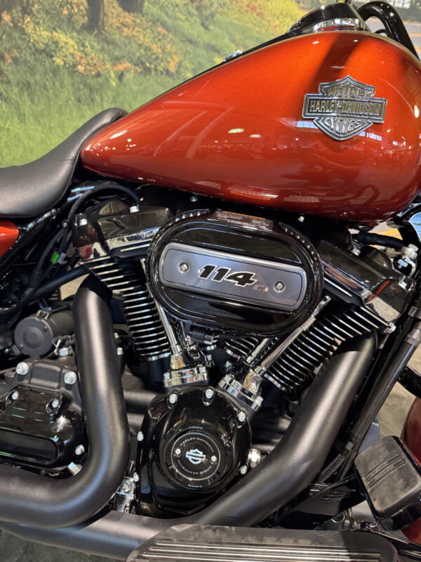 2025 Harley-Davidson Road King Special - Photo 3
