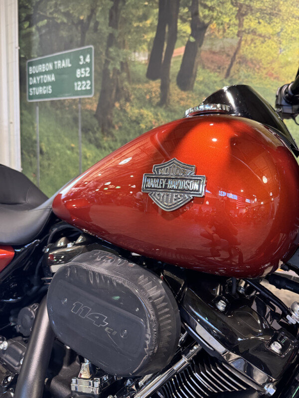 2025 Harley-Davidson Road King Special - Photo 2