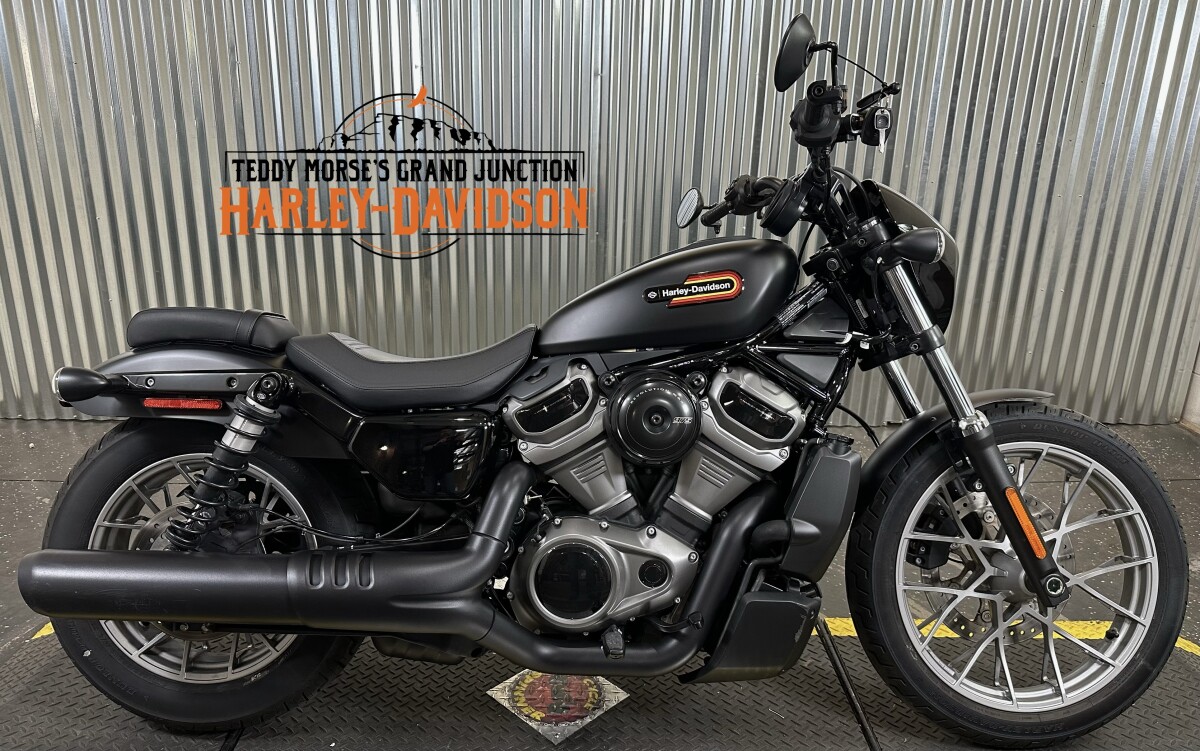 2025 Harley-Davidson® Nightster™ Special Billiard Gray | Teddy