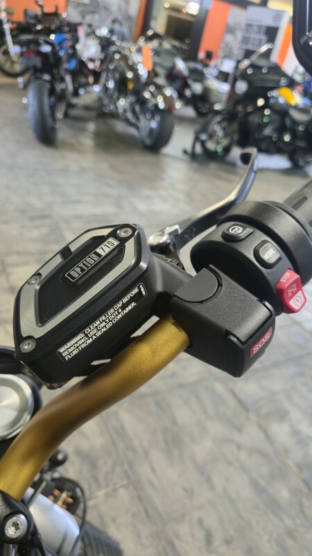 2025 BMW Motorrad R 12 Option 719 - Photo 10