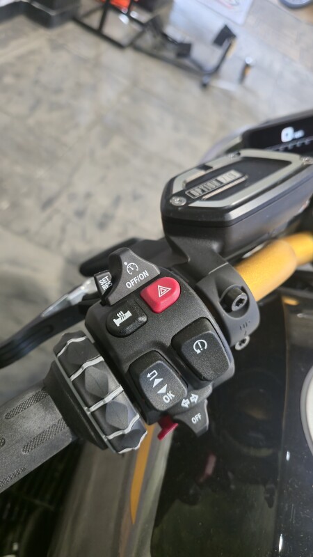 2025 BMW Motorrad R 12 Option 719 - Photo 9