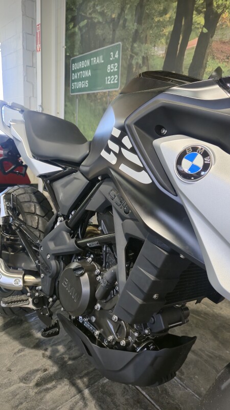 2024 BMW G 310 GS - Photo 4