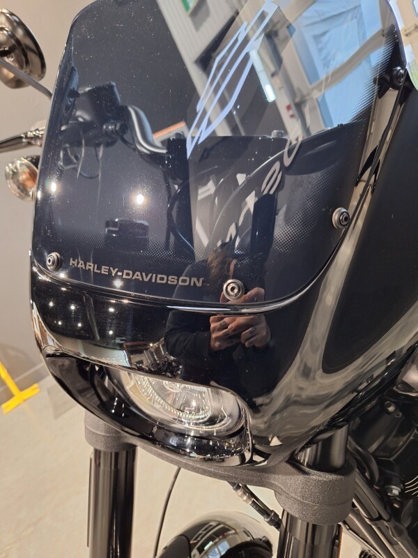 2021 Harley-Davidson Low Rider S Vivid Black - Photo 10