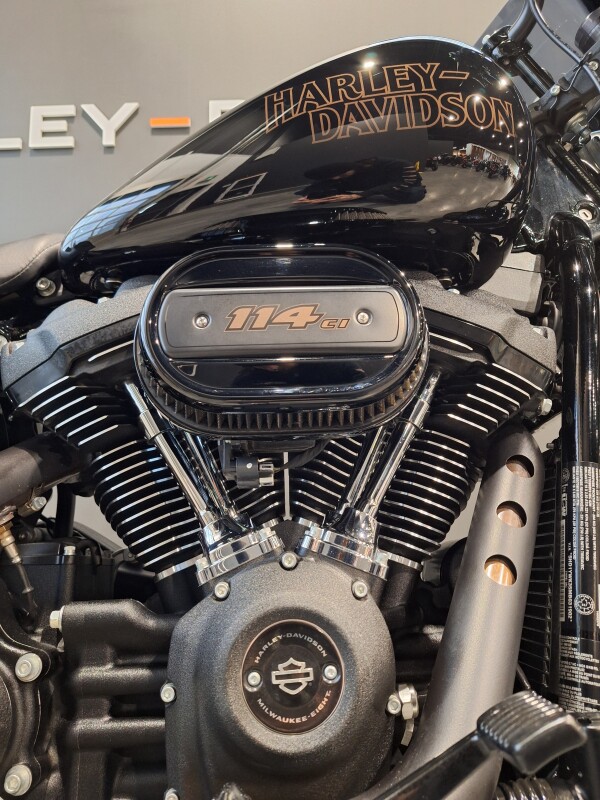 2021 Harley-Davidson Low Rider S Vivid Black - Photo 4