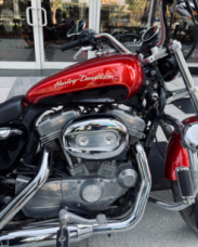 Sportster 883 super low thumb 2