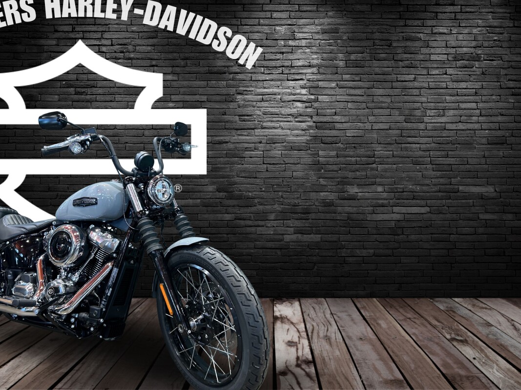 2025 Harley-Davidson Street Bob Billiard Grey w/Laced Wheels - Photo 3