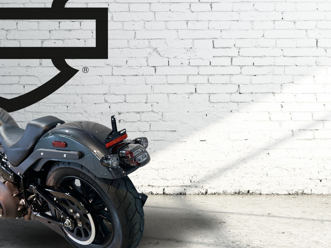 2025 Harley-Davidson Low Rider S Iron Horse Metallic - Photo 8